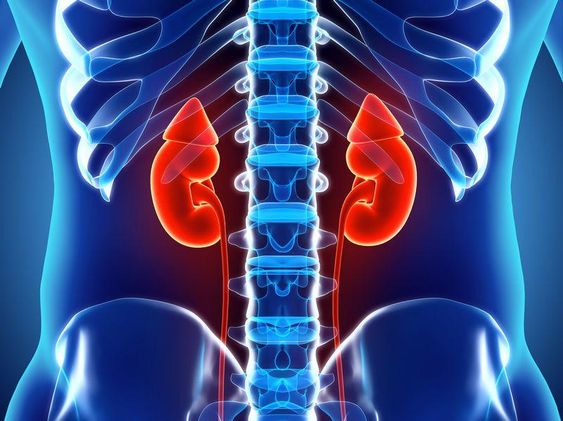 Post kidney transplant care